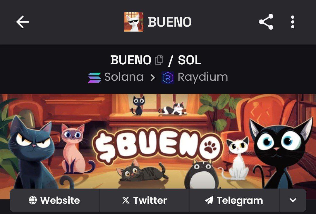 A new chapter of $bueno has begun and we have updated the DEX Screener with a community wallet.
dexscreener.com/solana/Hbj29xs… follow us for all bueno updates!