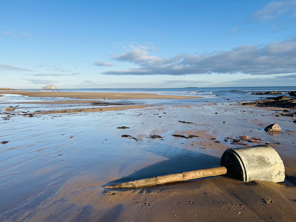 Scottish Beach Project tweet media