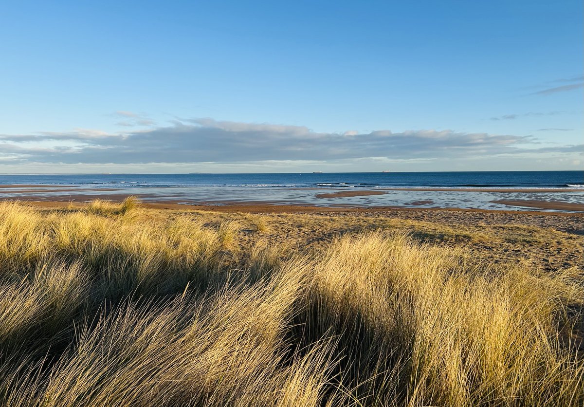 Scottish Beach Project tweet media
