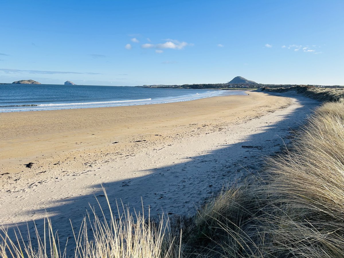 Scottish Beach Project tweet media