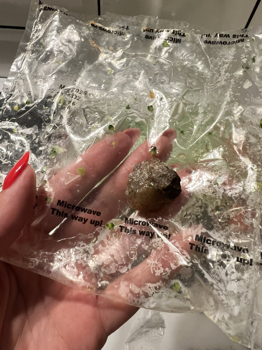 EleanorLuMakeup's tweet photo. @AldiUK my husband just bit into this STONE from inside one of your steam veg packs!!!!!! https://t.co/mdiWCdJizt