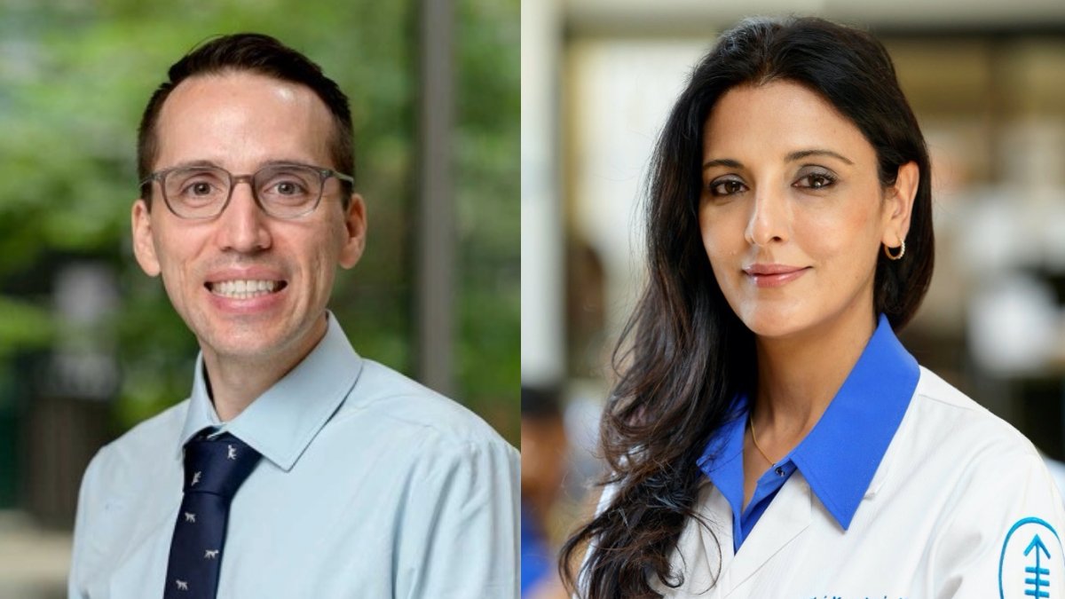 MSK Department of Medicine (@msk_deptofmed) on Twitter photo A recent study by <a href="/LaracyJustin/">Justin Laracy</a> and <a href="/mini_kamboj/">Mini Kamboj</a> found that dipstick urine tests were accurate for diagnosing urinary tract infections in immunocompromised people being treated for #cancer, even those with a low white blood cell count. Having an accurate way to rule out infection A recent study by <a href="/LaracyJustin/">Justin Laracy</a> and <a href="/mini_kamboj/">Mini Kamboj</a> found that dipstick urine tests were accurate for diagnosing urinary tract infections in immunocompromised people being treated for #cancer, even those with a low white blood cell count. Having an accurate way to rule out infection
