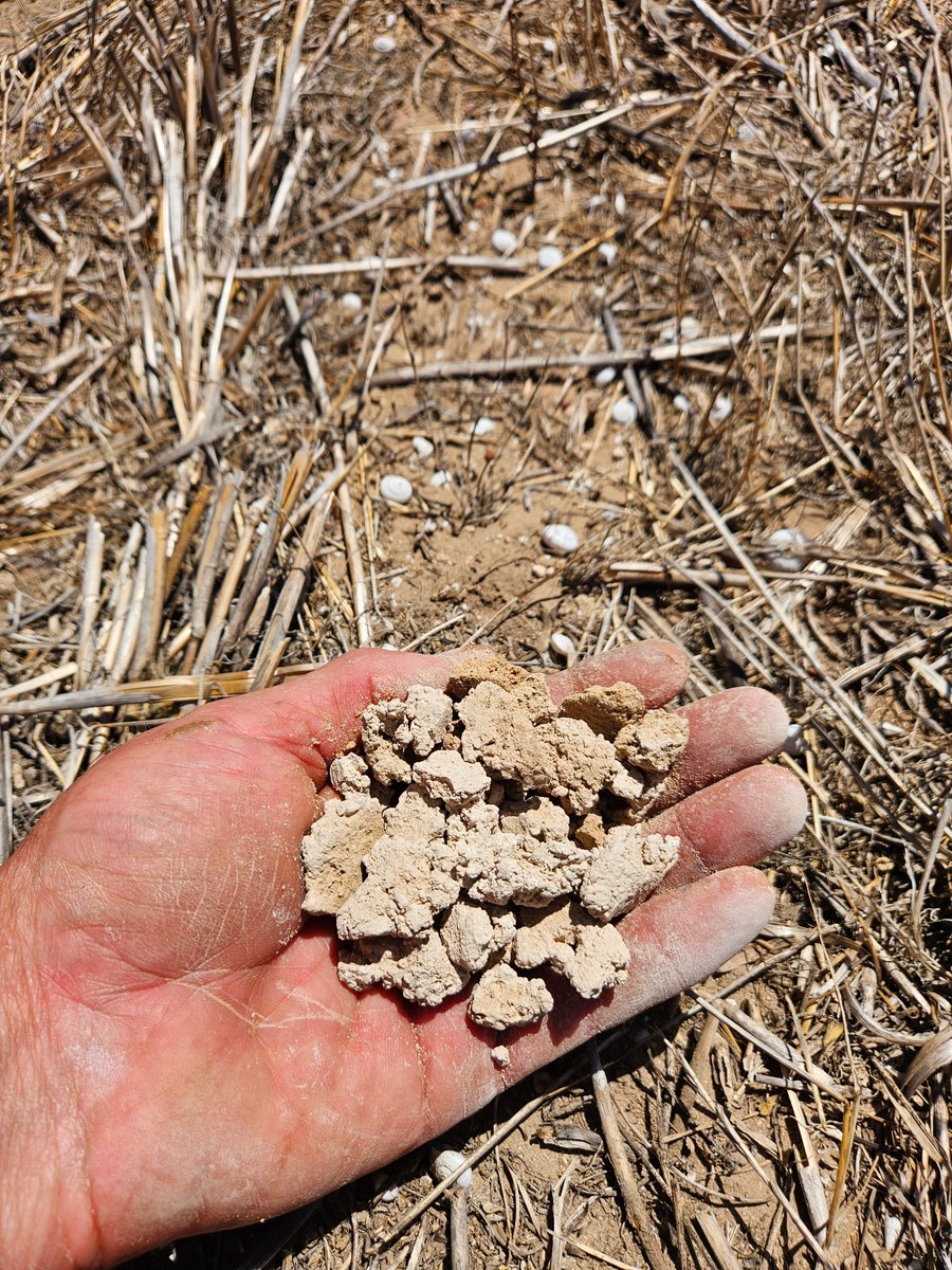 Leighton Wilksch tweet media