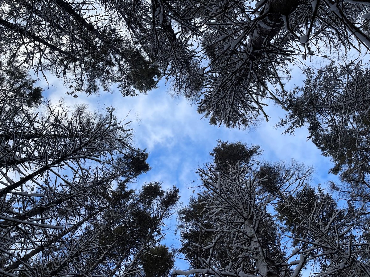 With the provincial election underway, our communications will be quieter than usual. We are still ready to answer your questions about visiting Ontario Parks, so please do get in touch if we can help.