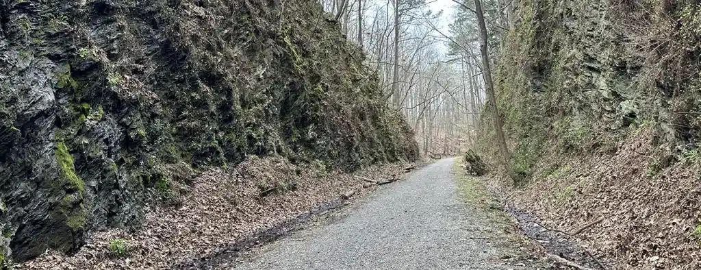 Allatoona Pass Battlefield - Take a hike through history on the Allatoona Pass Trail on the western shores of Lake Allatoona. #allatoonapassbattlefield #allatoonapasstrail #americancivilwarhistory #lakeallatoona Read more: buff.ly/3CjB82D