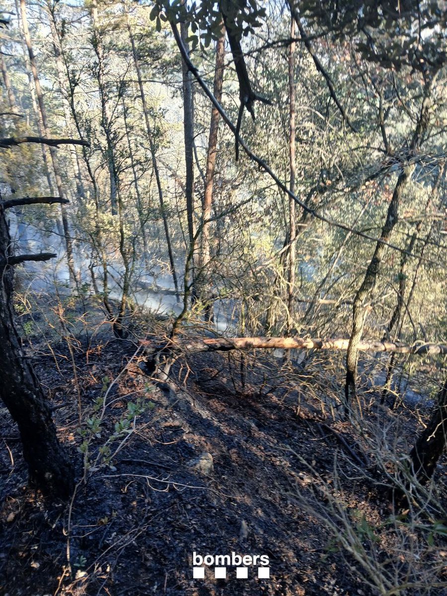 L'incendi entre Sora i les Llosses ja està apagat. Cap a les 18.30h ja no es veien fumeroles i  ens hem retirat cap a parc.
Demà, efectius dels #EPAF, revisaran el perímetre per comprovar que està fred i que no hi ha ni fumeroles ni punts calents.

#bomberscat