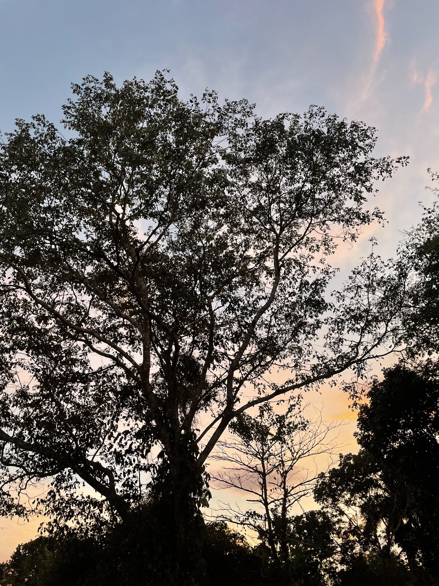 RomansUlices's tweet photo. #Sunsetlovers my Town https://t.co/uEUbpHwew7