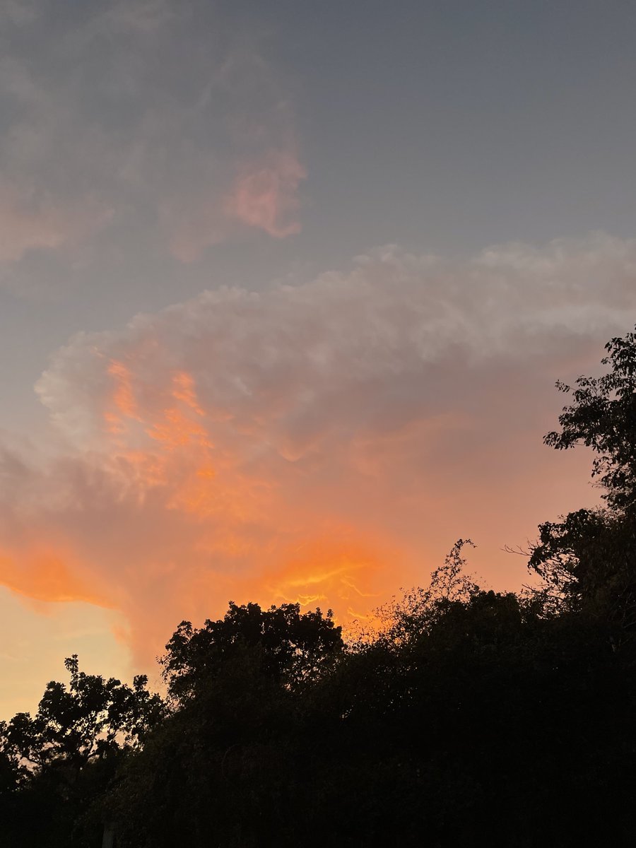RomansUlices's tweet photo. #Sunsetlovers my Town https://t.co/uEUbpHwew7