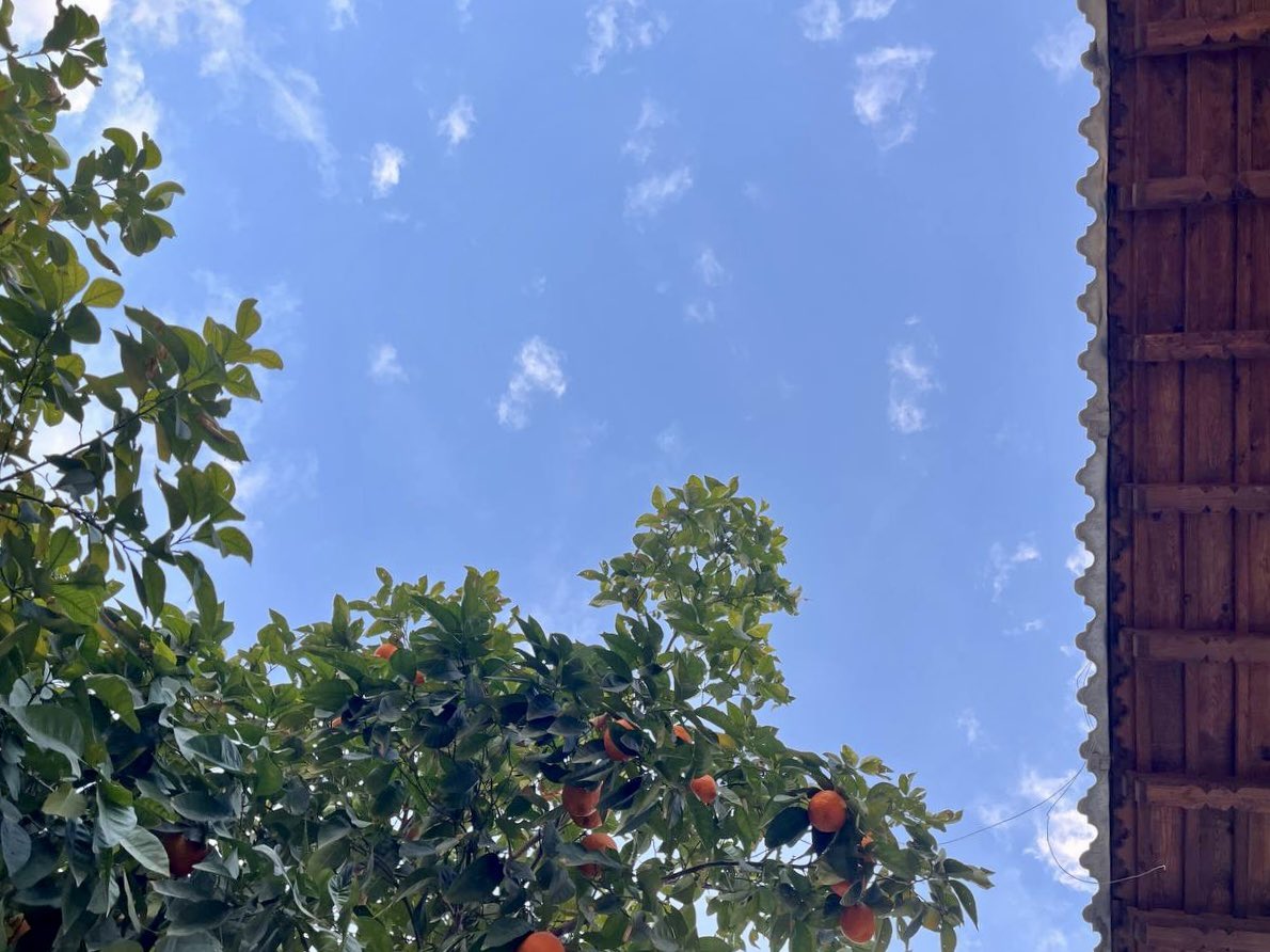 Shirazi_house's tweet photo. رها کن هوای گرفته‌ی شهرهای تهران و اصفهان را.

به شیراز، که بهار در آن می‌رقصد، پرواز کن! 

نفس بکش، زندگی کن…

📲 برای رزرو تماس بگیرید:

۰۹۱۷۵۰۰۰۷۵۳

 #شیراز #سفر #بهار #هوای_پاک #آلودگی_هوا https://t.co/iTngrYHBN9