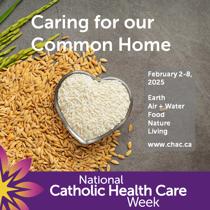 Huron-Perth CDSB tweet media