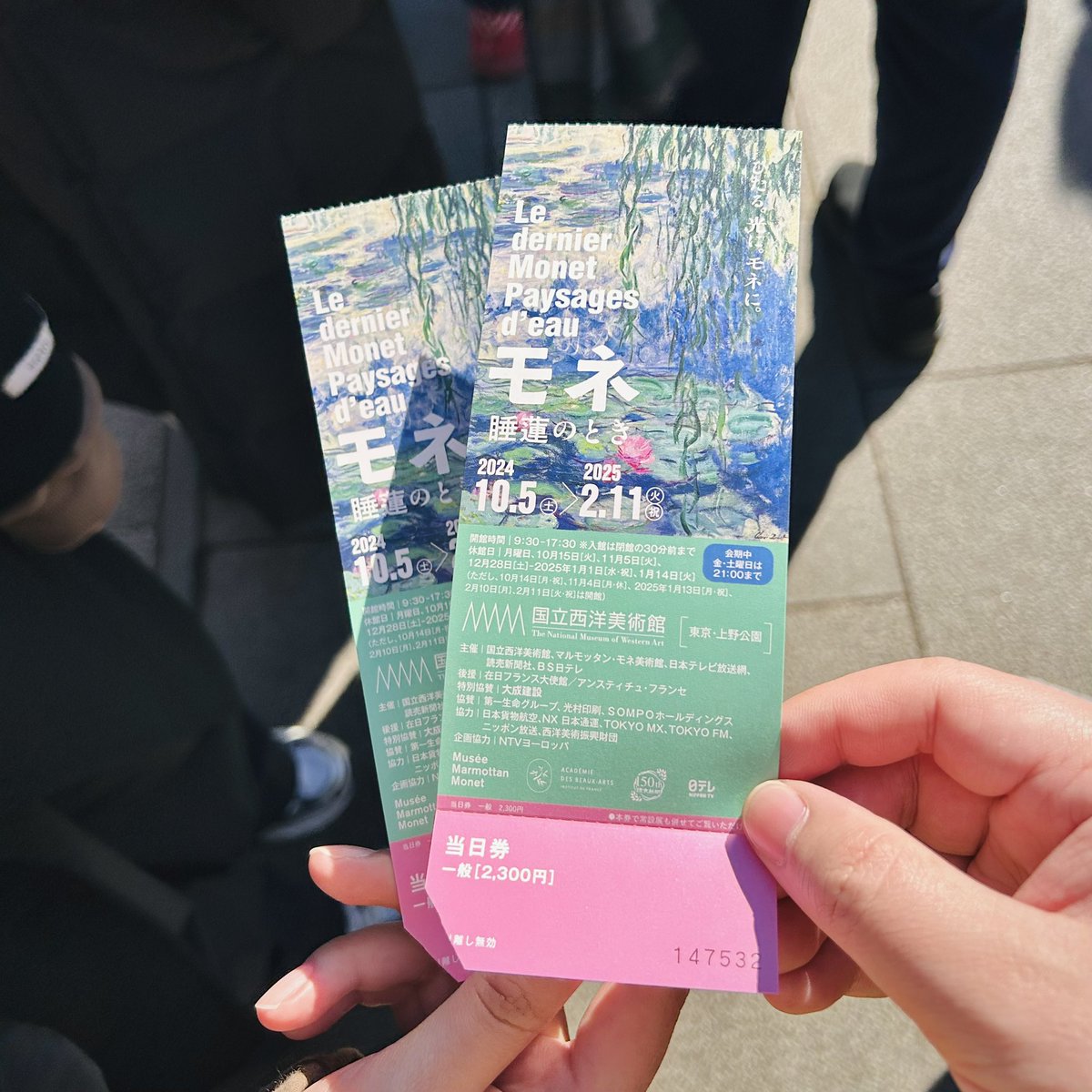 本来要看罗丹的没想到意外碰到了莫奈展