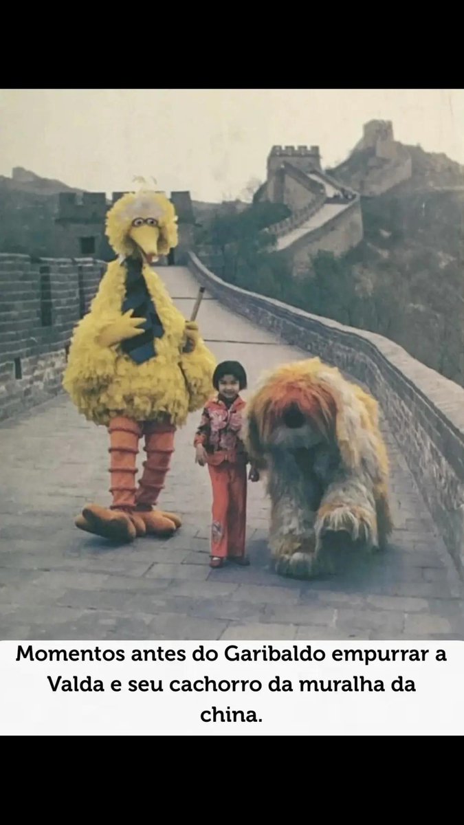 GARIBALDO tweet media