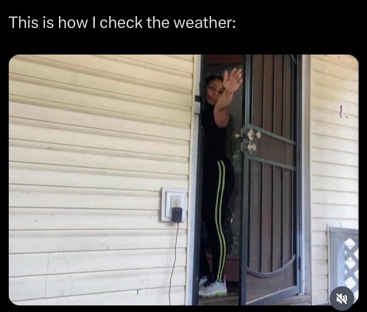 thatbeebee's tweet image. The only way to check the weather 
Cause the weather channel be lying 😂 
#weathercheck