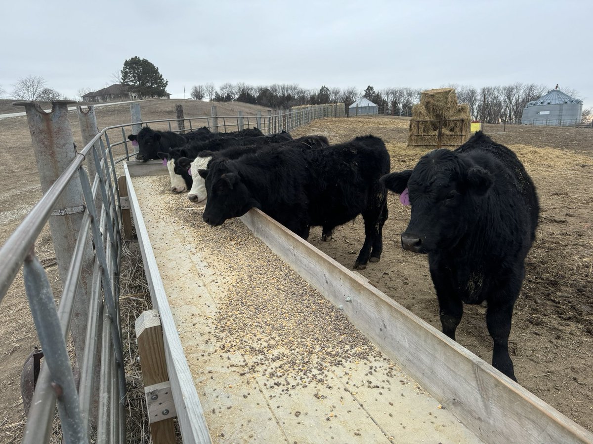 New year, new adventures #wannabe <a href="/KccMitch/">Mitch Kennedy</a>