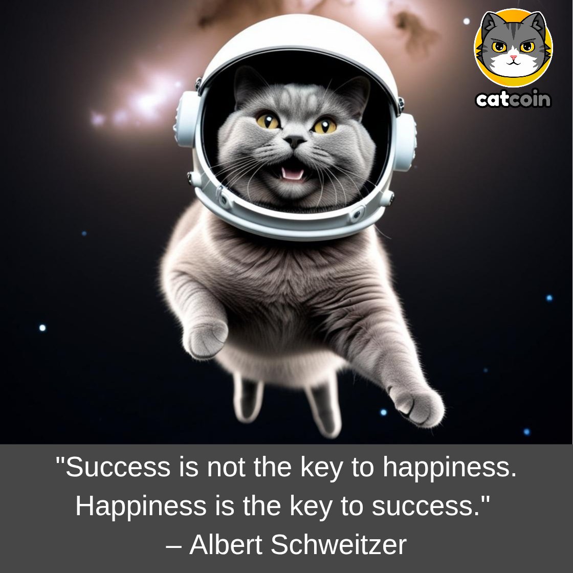 Official Catcoin tweet media