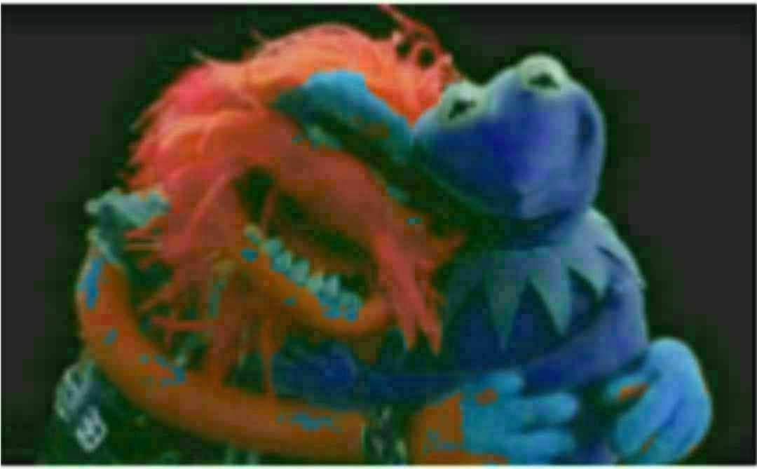 Fumpetfacts's tweet image. Fumpet fact: ground beef 
We care 💙 
You matter💙
Don't try 💙