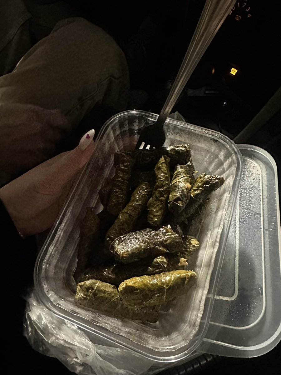 ben de bunlari favladım dun manitayla yemege giderken arabada arka koltuga uzanip bak sana ne sürprizim var dedi dedim aha nergis aldi herhalde sarma getirmis bana yaninda catalla yolluk…