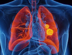 Rosa for QSP tweet media