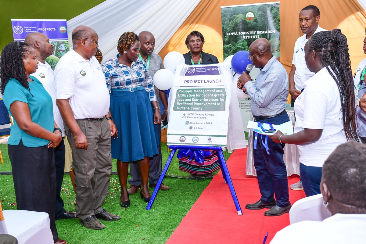 KEFRIHQ's tweet photo. ILO-Funded Project to Turn Prosopis into an Economic Asset in Turkana
Turkana County has launched a Ksh 30 million ILO-funded project implemented by KEFRI to manage Prosopis juliflora sustainably.The initiative aims to restore degraded land, create green jobs &amp; support livelihood https://t.co/j8W70R9xFO