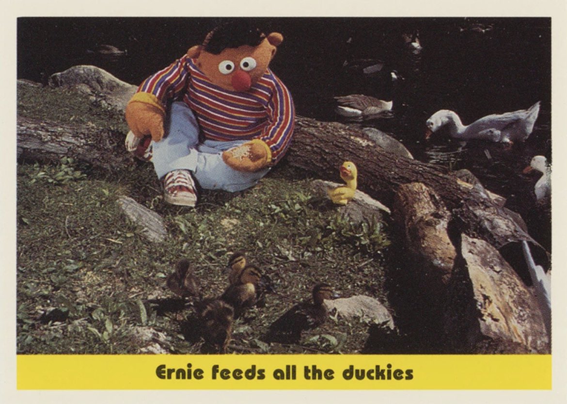 Ernie feeds all the duckies.