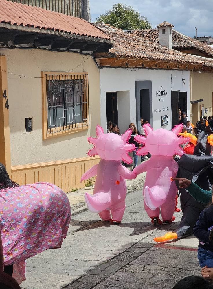 wikipistacho's tweet photo. Yo: He soñado contigo.... 
Ella: Que has soñado? 
Yo: nada nada..... jajaja una tonteria... https://t.co/CVsH8YWXUG