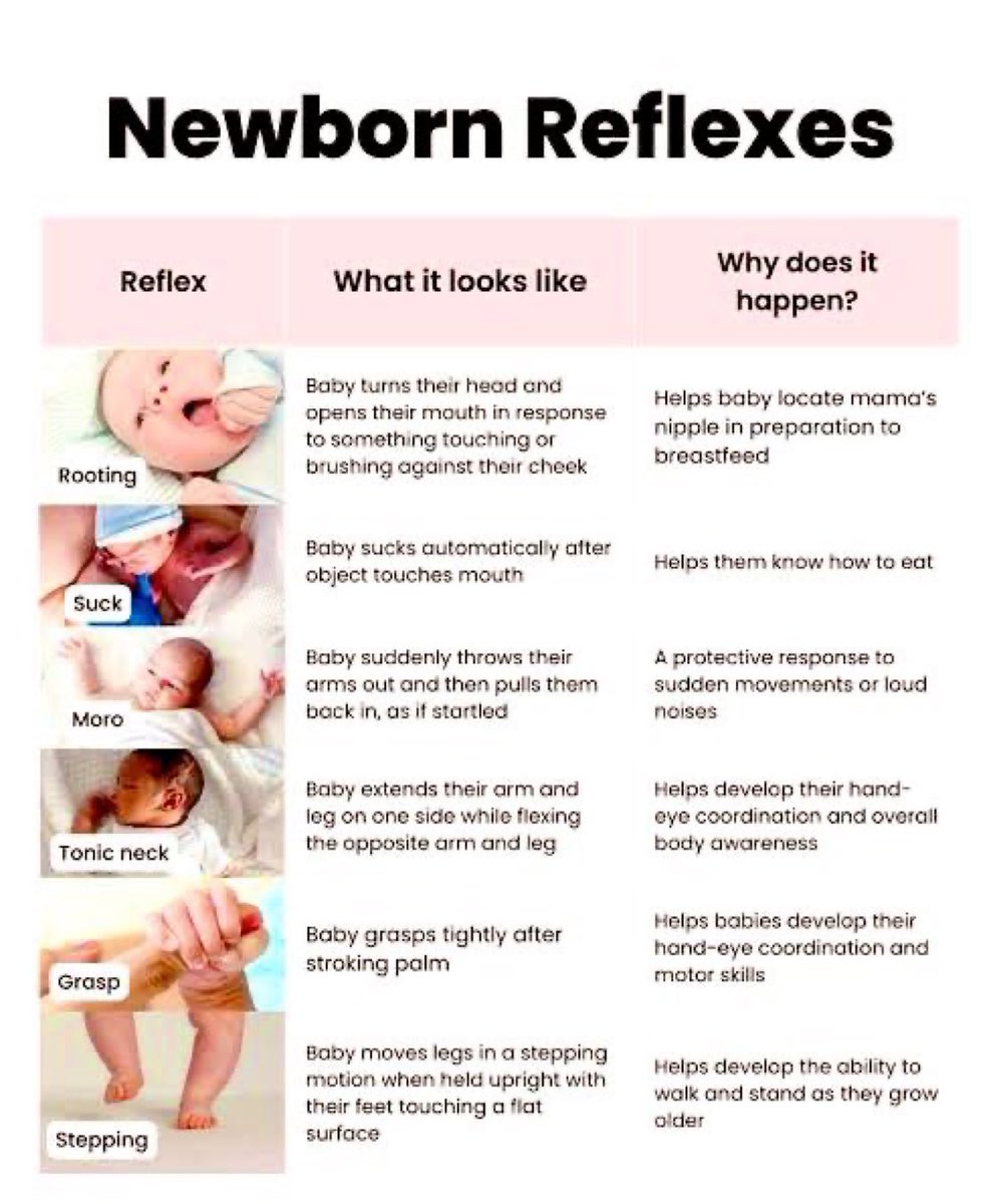 Doctors__squad's tweet photo. Newborn Reflexes https://t.co/1vweLj38X7