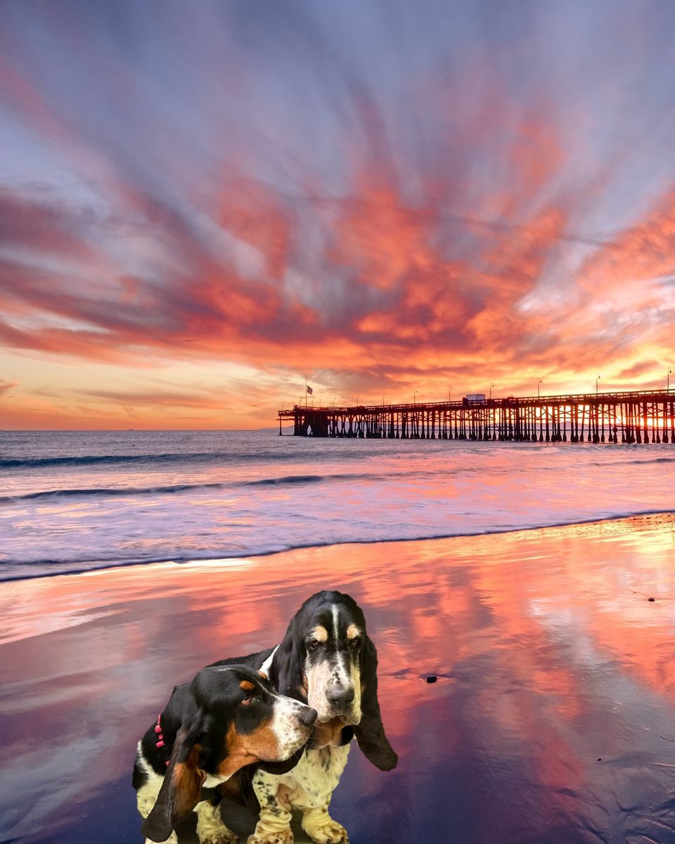 Surf & Sand tweet media