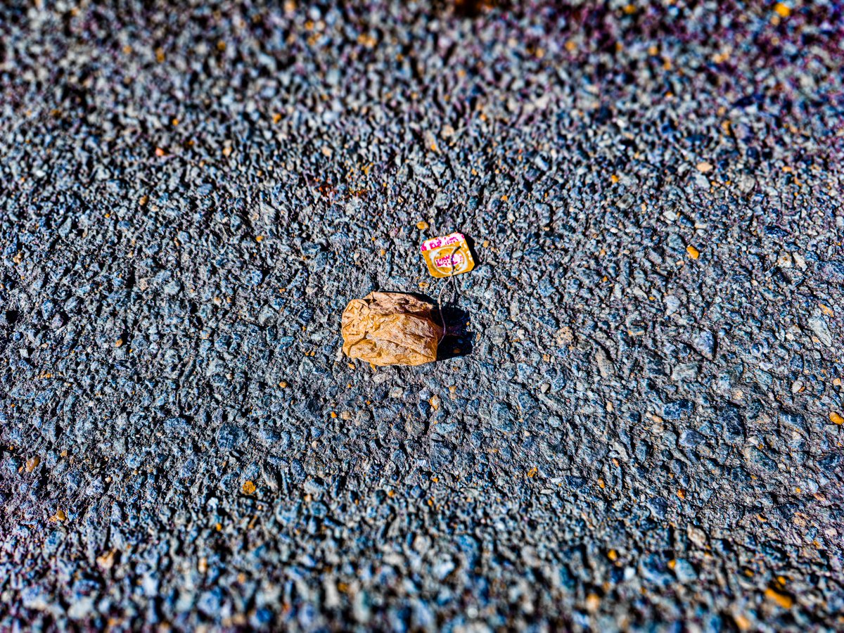 ChloeSullivanJ's tweet image. #Photography #randomthings 
Anyone else love photos of random things tossed away onto streets, sidewalks or parking lots? Here's

"Discarded Tea Bag."