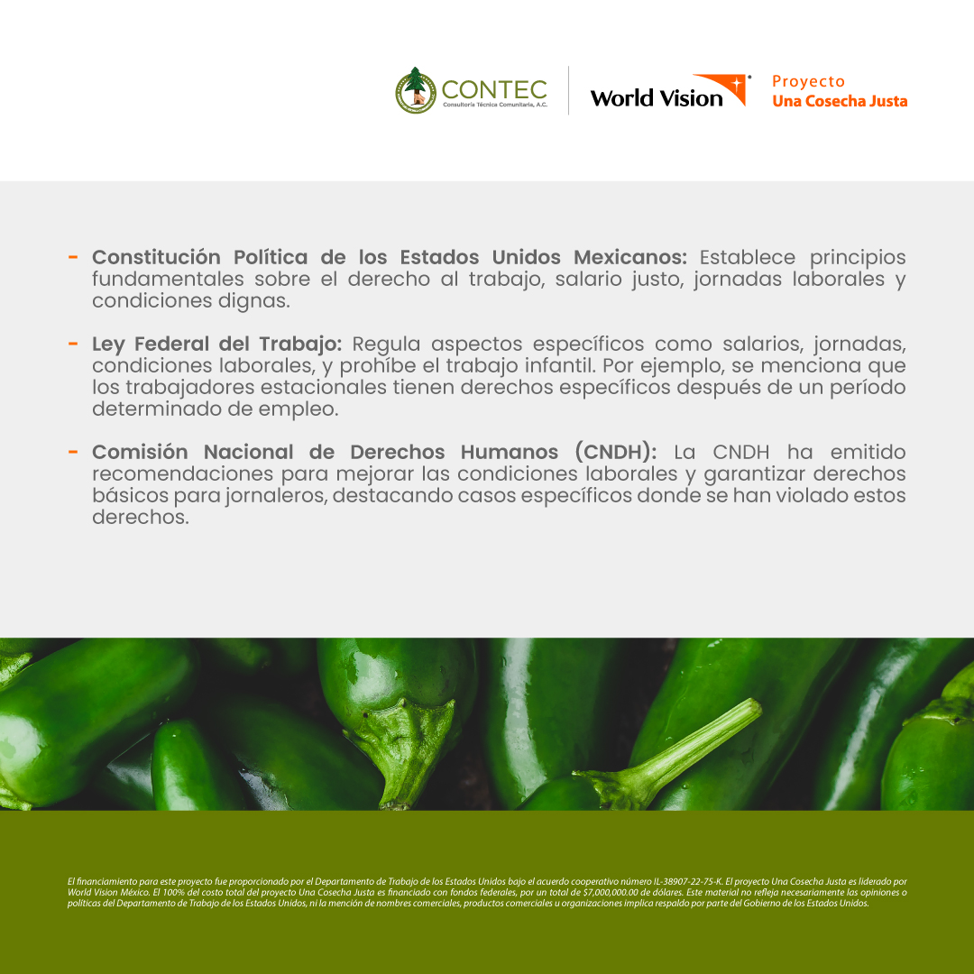 CONTEC A.C. tweet media