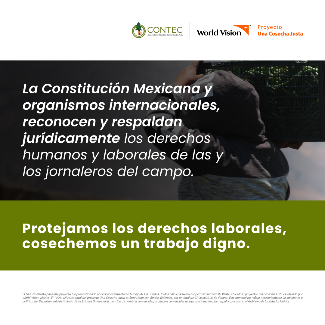 CONTEC A.C. tweet media