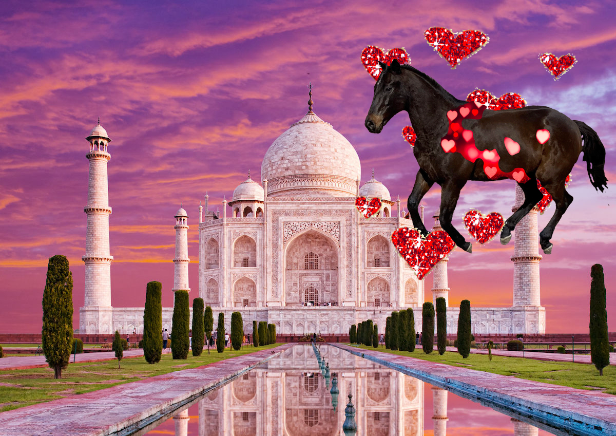GloriousAllianc's tweet photo. Hackleton at the Taj Mahal... https://t.co/dJ5v3rEfp4