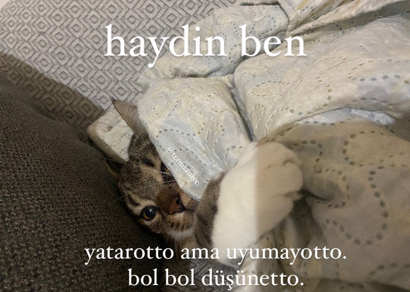 ANLIK (@anlikmod) on Twitter photo 