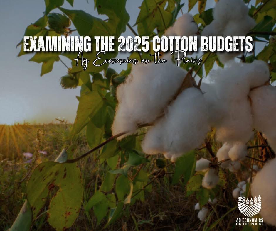 The 2025 crop and livestock budgets will soon be available on the Texas A&amp;M AgriLife Extension Economics website.  In today’s post, we break down the District 1 and District 2 cotton budgets and discuss what they imply about cotton production in 2025. 

agrilife.org/agecon/examini…