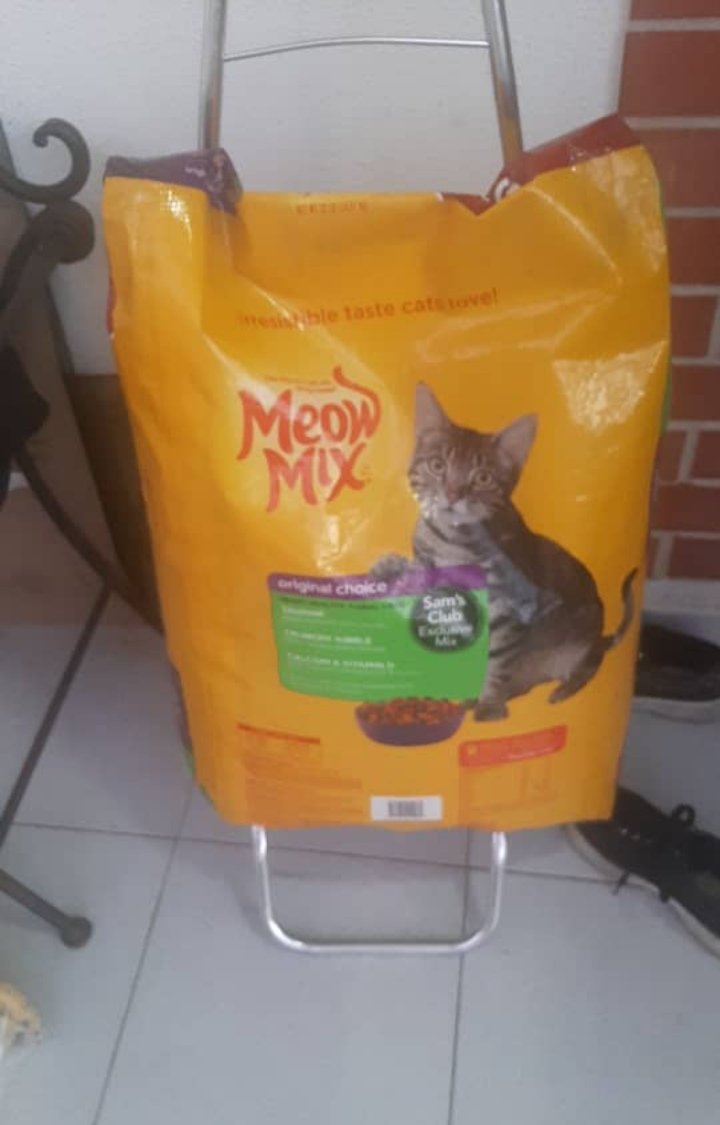 Marisa84157935's tweet photo. ACTUALIZO
Gracias algunas personas qué han #donado algo para que esos 47 #gatitos puedan comer😿 @teresitaros ayer ya compró algo👏
MIL GRACIAS a esas personas qué habéis aportado vuestro granito arena y a los qué estáis AYUDANDO difundiendo situación tan crítica❤️ #Seguimos🙏🆘 https://t.co/SJoVp21Cal