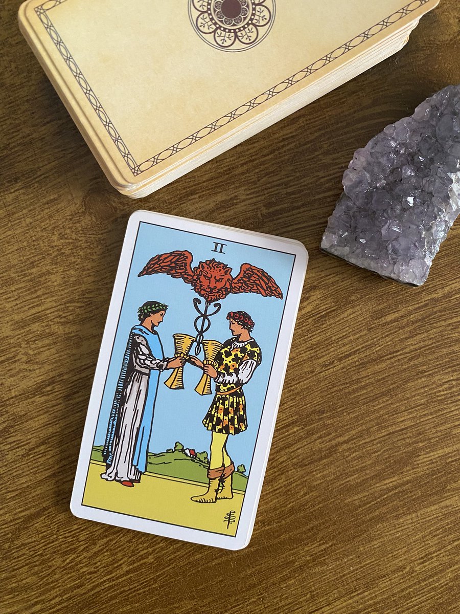 melloracles's tweet photo. ♏️✨ Escorpião — Fevereiro:

Que mês precioso! Fevereiro marca uma etapa bem favorável para a vida amorosa, mas não só para ela, para muitas áreas para falar a verdade. Será um mês em que você verá com seus próprios olhos quais parcerias merecem sua atenção e prioridade, qual o tipo de comprometimento vem das pessoas ao seu redor e até de você para com os outros, fevereiro vai marcar uma página importante no seu livro chamado vida porque vai te mostrar o valor da reciprocidade e de está em sintonia e equilíbrio com as outras pessoas.

Aqui o campo profissional pode ser marcado por negociações/parcerias produtivas e frutíferas que trazem consigo a possibilidade de boas colheitas, assim como no amor que marca uma fase de união, paixão e muita conexão emocional – mesmo que você esteja solteira, quem sabe aparece alguém aí, hmmm…

Aproveite, esse mês pode trazer muitas realizações.