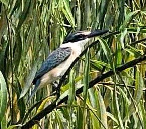 Visible Procrastinations tweet media