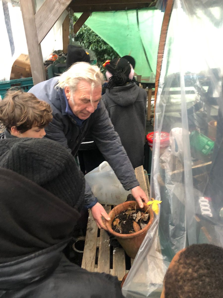 Year 5 went on a trip linked to Holmesdale Community Gardens to see what is being grown and plant some runner beans and coriander seeds . Thank you Ian for showing us around the  gardens and helping us to become keen growers!