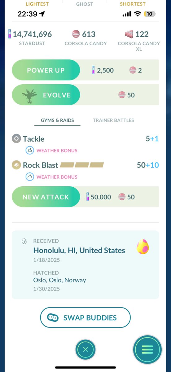 Anne K Petterøe tweet media