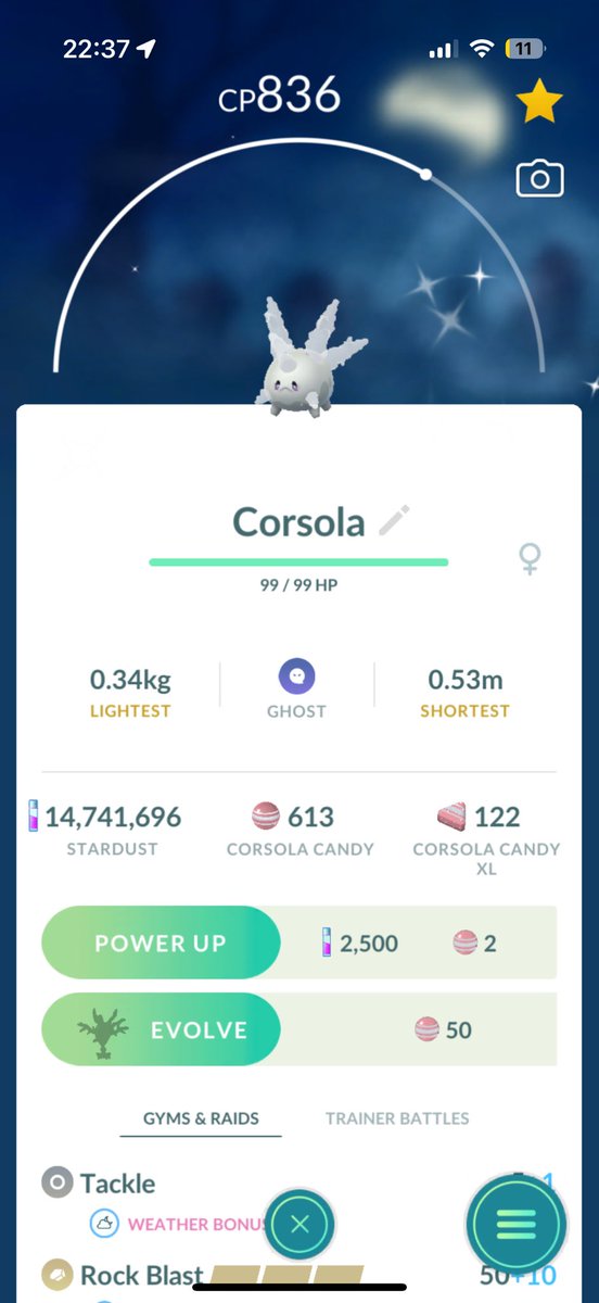 Anne K Petterøe tweet media