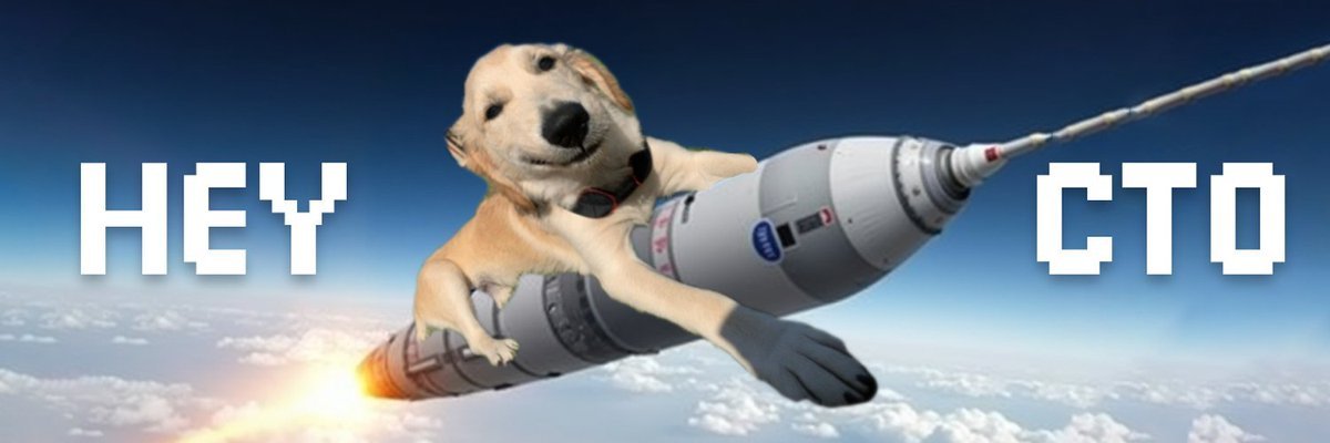 Stonks Surfer tweet media