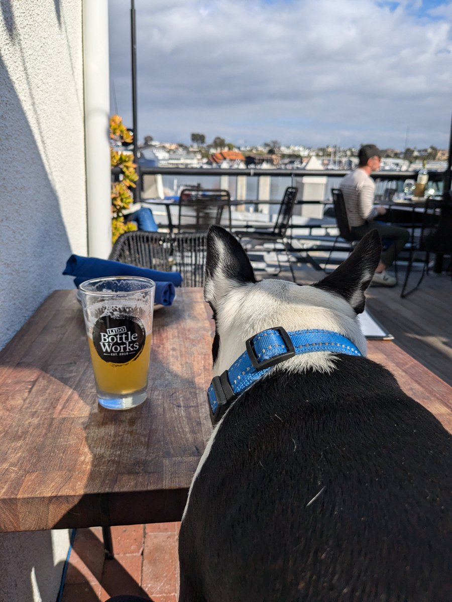 Andy Jung tweet media