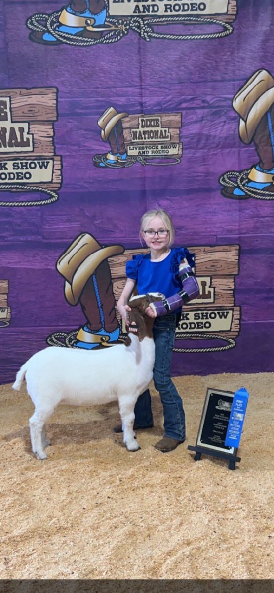 CalhounCoExt's tweet image. Great job to our Calhoun County 4-H meat goat and dairy cow exhibitors on a great show with many 1st and 2nd place wins at the 2025 Dixie National Jr. Round-Up Livestock Show! #MS4H