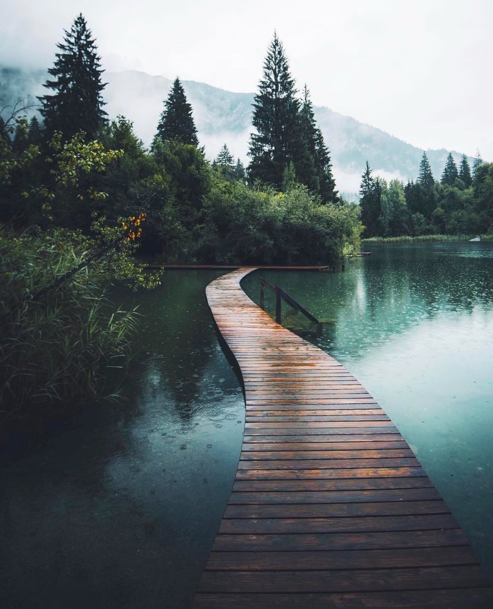 earthcurated's tweet photo. — peace 🍃 https://t.co/sKeSbU37Lx