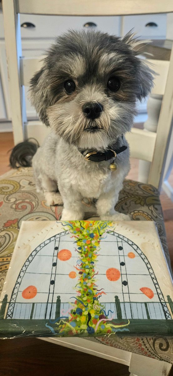 GoodDayMonkey tweet media