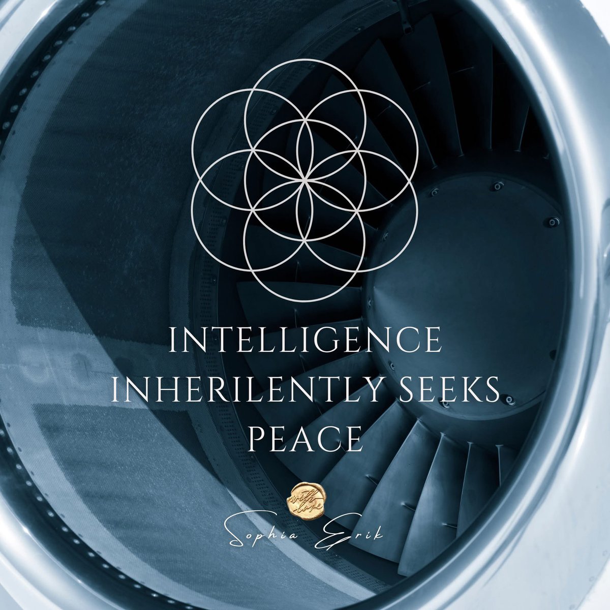 sophiaerik's tweet image. ‘Why’ do you do what you do with your services, good and company mission and vision? How well is your intent set, what is the driving force behind everything? Customers focus on what you focus on.. What is that. And Why?