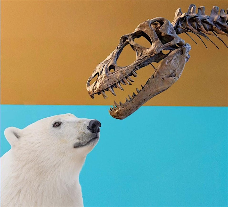 Earth Sciences U of M (@gsciencesuofm) on Twitter photo Will polar bears escape the fate of dinosaurs? Join the discussion as part of the UM Knowledge Exchange 2024-25 collection. The event "Extinction Then and Now" will be held February 26th at 7pm <a href="/umanitoba/">University of Manitoba</a> <a href="/um_research/">uManitoba Research</a>
eventbrite.ca/e/um-knowledge… Will polar bears escape the fate of dinosaurs? Join the discussion as part of the UM Knowledge Exchange 2024-25 collection. The event "Extinction Then and Now" will be held February 26th at 7pm <a href="/umanitoba/">University of Manitoba</a> <a href="/um_research/">uManitoba Research</a>
eventbrite.ca/e/um-knowledge…