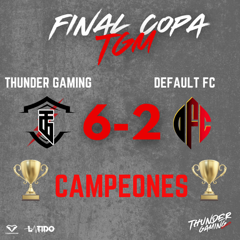 Thunder Gaming tweet media