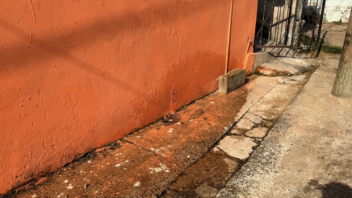 Pablo_ConVi78's tweet photo. @CMAS_Xalapa reportando una fuga en calle Cristal entre los números 7 y 9 de la colonia Lealtad Institucional 
@AytoXalapa https://t.co/YoJOM3Whfi