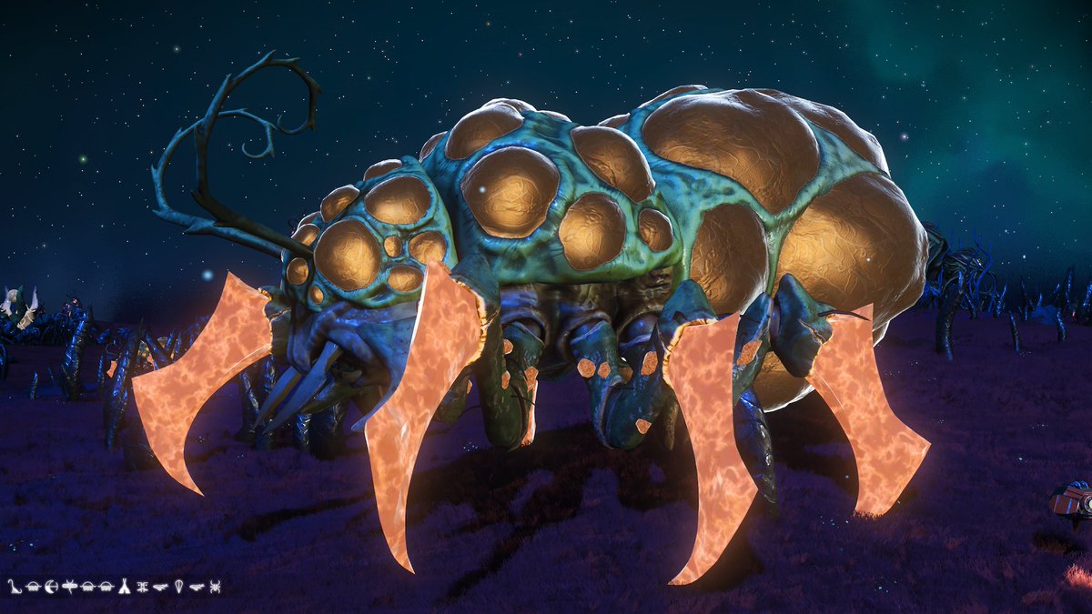RenwickWarden's tweet photo. @TeamTangent found this knarly creature if you haven't seen before. https://t.co/iZgYXsQrXl