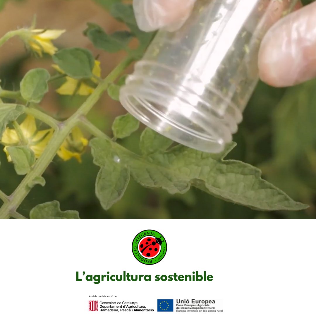 producciointegrada tweet media